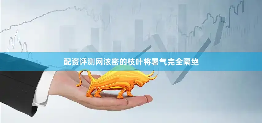 配资评测网浓密的枝叶将暑气完全隔绝
